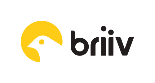 Briiv Logo